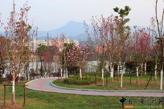 �M���Ј@�����ΞI�����@