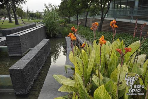 �������@�չˮ�c�G�������_������