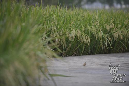 �����@��ҰȤ��@�L��