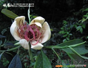 �ƌW���o ��������--���M���z���οɳ��m�lչ