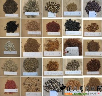 �ƌW(xu��)���o(h��) ��������--���M(j��n)���z���οɳ��m(x��)�l(f��)չ