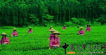 �ƌW(xu��)���o(h��) ��������--���M(j��n)���z���οɳ��m(x��)�l(f��)չ