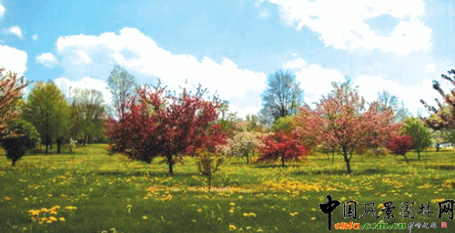 �N���ĬF������