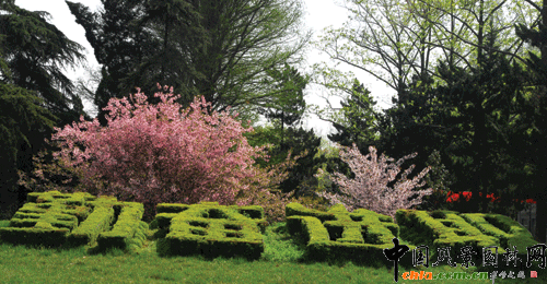 ���z���� 