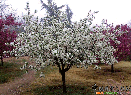 �F������-(�t)