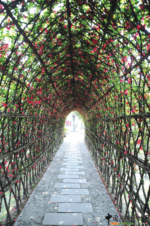 ľ�Ϻ������Ļ�����