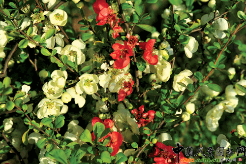 �s���N������