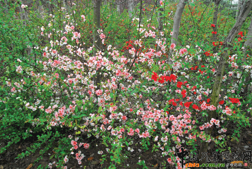 �N������