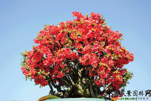 �N������