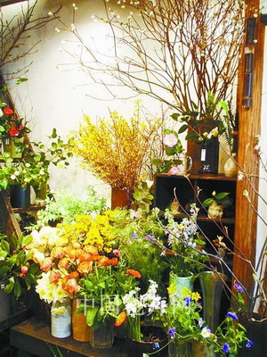 �|���y��ɽҰ���ݵ�ʰ��(�M�D)