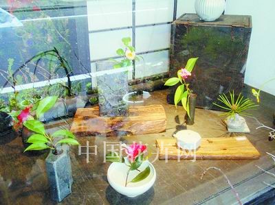 �|���y��ɽҰ���ݵ�ʰ��(�M�D)