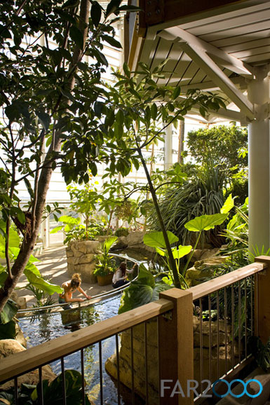 ����(gu��)ƥƝ��Phipps���Һ�ֲ��@�M(j��n)�ДU(ku��)��