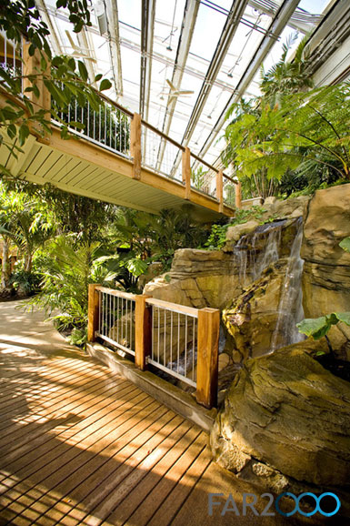 ����(gu��)ƥƝ��Phipps���Һ�ֲ��@�M(j��n)�ДU(ku��)��