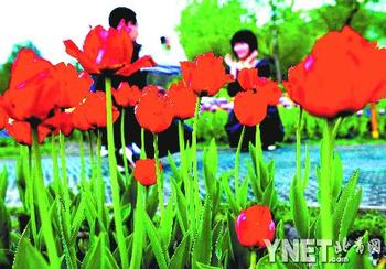 ��՚┇�_ ���ǻ�չ�������ڣ��D��