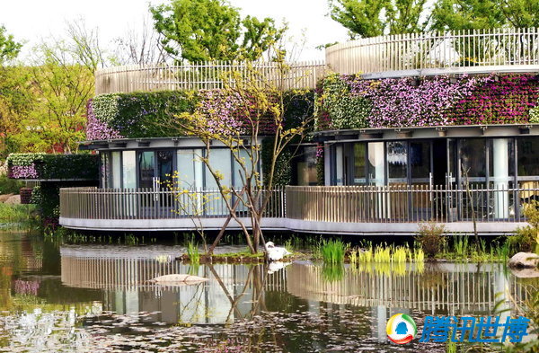 �c���g�[��һ��