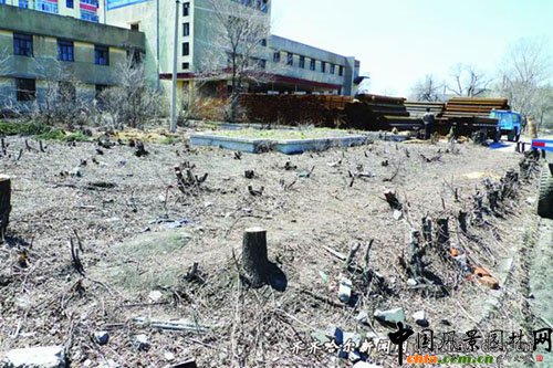 ���������R�R�����н��������ᄽ񴺵�һ��