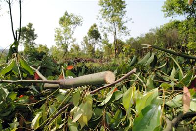 �㽭����ٶ���G����ľ��������I��