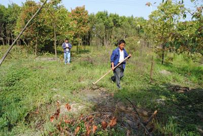 �㽭����ٶ���G����ľ��������I��