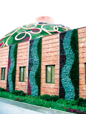 �Ϻ����������^�^���桰�����G ̎̎���¡������G