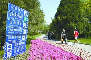 ���@�̽�����������y��(�M�D)