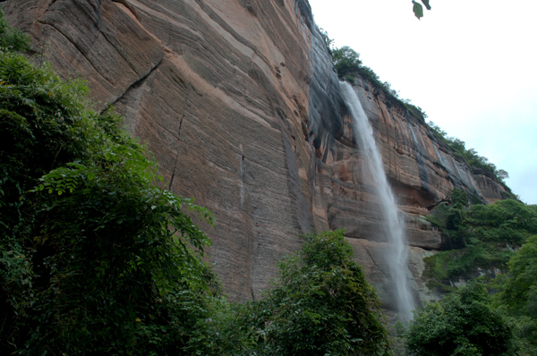 �c������D