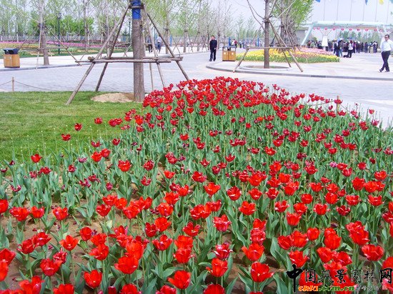 �������H�r����300�f��������`��