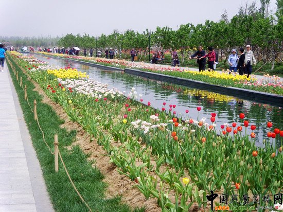 �������H�r����300�f��������`��