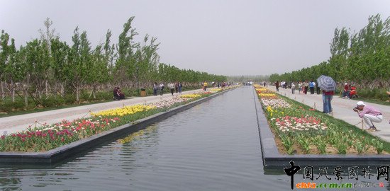 �������H�r����300�f��������`��