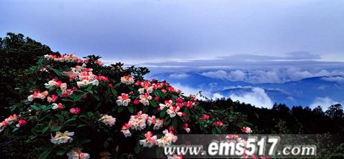 ��üɽ����ɽ��𾰅^