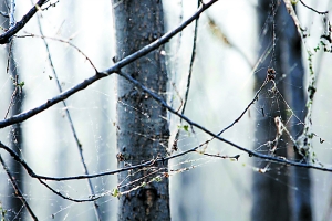 ��������ɽ�^�׶���Ű�Љİٮ����� �������֟o��