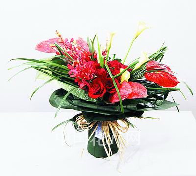 ���ᱭ��ˇ�OӋ���I��ِ�ڡ���܊��Ʒ�p��