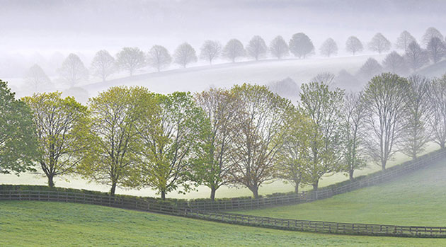 Garden Photographer: 2010 International Garden Photographer of the Year