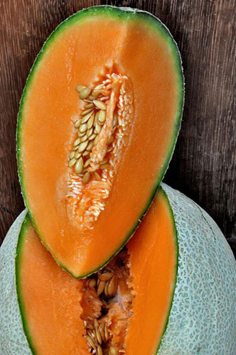 Garden Photographer: 2010 International Garden Photographer of the Year