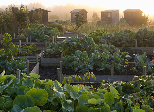 Garden Photographer: 2010 International Garden Photographer of the Year