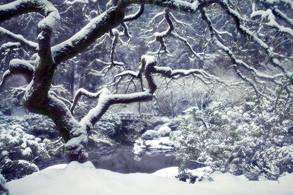 Garden Photographer: 2010 International Garden Photographer of the Year