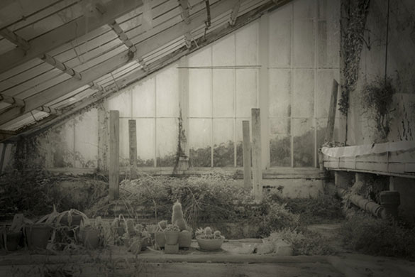 Garden Photographer: 2010 International Garden Photographer of the Year