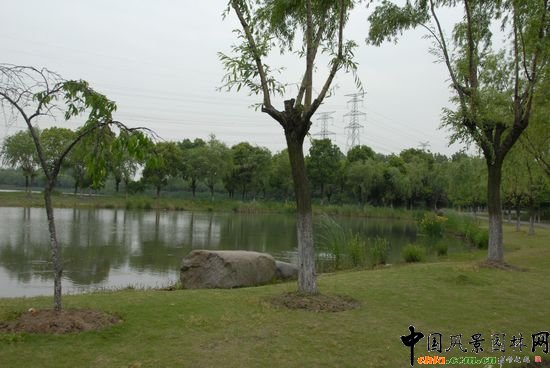 ��ɽɭ�ֹ��@