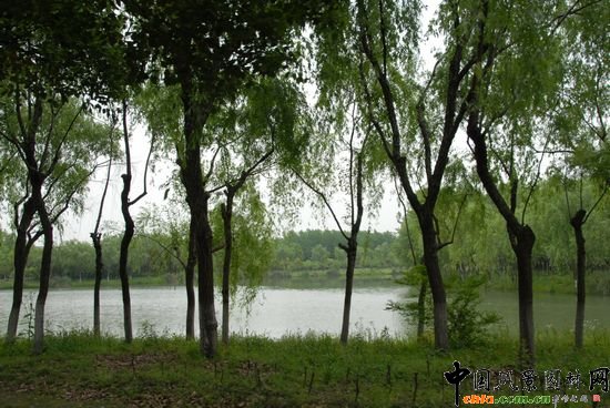 ��ɽɭ�ֹ��@