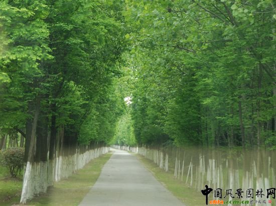 ��ɽɭ�ֹ��@