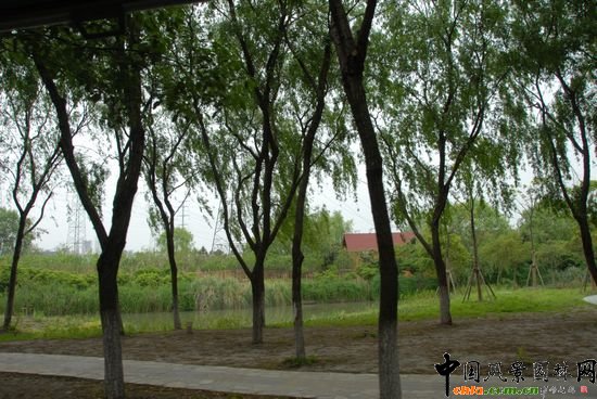 ��ɽɭ�ֹ��@