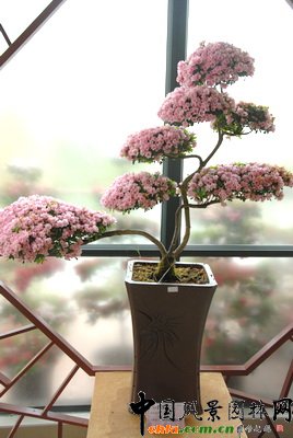 �ڰˌö��N��չ�@����Ʒ