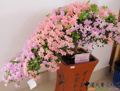 �ڰˌö��N��չ�@����Ʒ