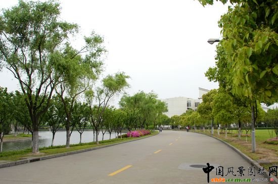 �Ϻ���WУ�@�G�����^