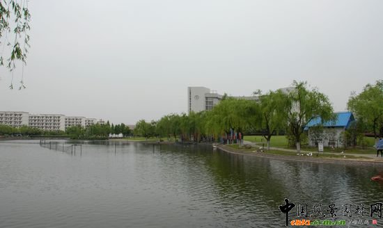 �Ϻ���WУ�@�G�����^