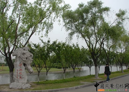 �Ϻ���WУ�@�G�����^