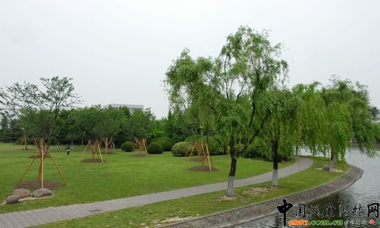     �Ϻ���W�Ǉ��ҡ�211���̡����c���O��У֮һ��У�@���^��(y��u)�������Ϻ��л��@��λ�� 