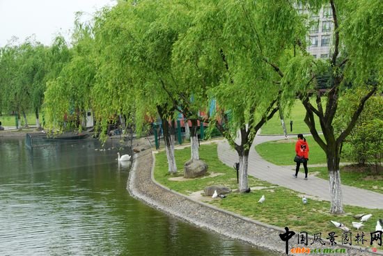     �Ϻ���W�Ǉ��ҡ�211���̡����c���O��У֮һ��У�@���^��(y��u)�������Ϻ��л��@��λ�� 