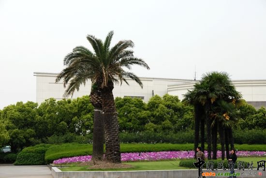     �Ϻ���W�Ǉ��ҡ�211���̡����c���O��У֮һ��У�@���^���������Ϻ��л��@��λ�� 