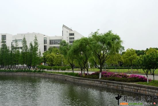     �Ϻ���W�Ǉ��ҡ�211���̡����c���O��У֮һ��У�@���^���������Ϻ��л��@��λ�� 