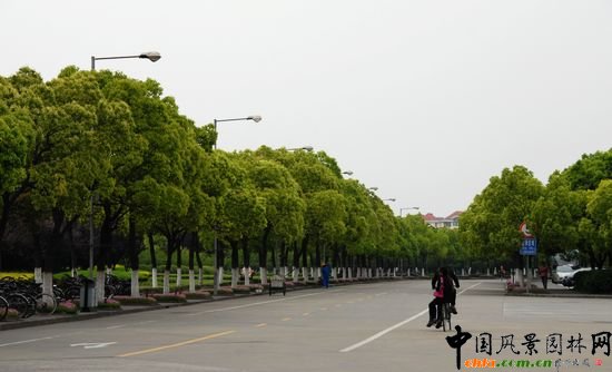     �Ϻ���W�Ǉ��ҡ�211���̡����c���O��У֮һ��У�@���^���������Ϻ��л��@��λ�� 